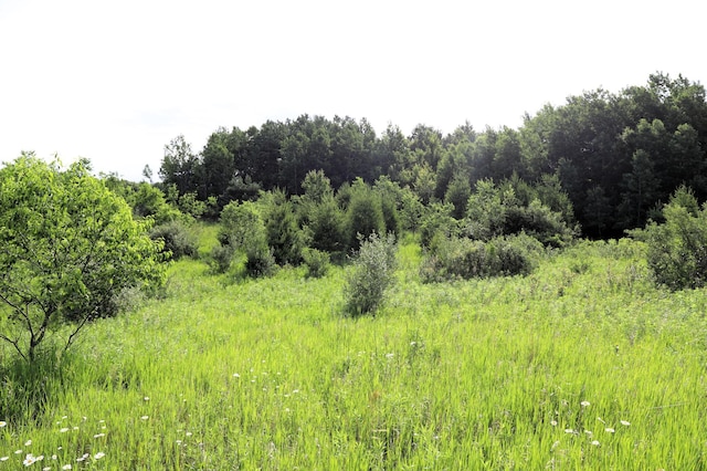 0000 35th St, Howard Twp, WI 54729