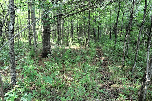 0000 35th St, Howard Twp, WI 54729
