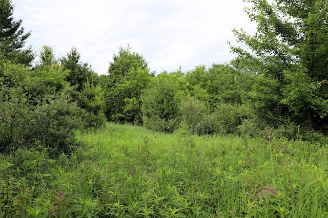 0000 35th St, Howard Twp, WI 54729