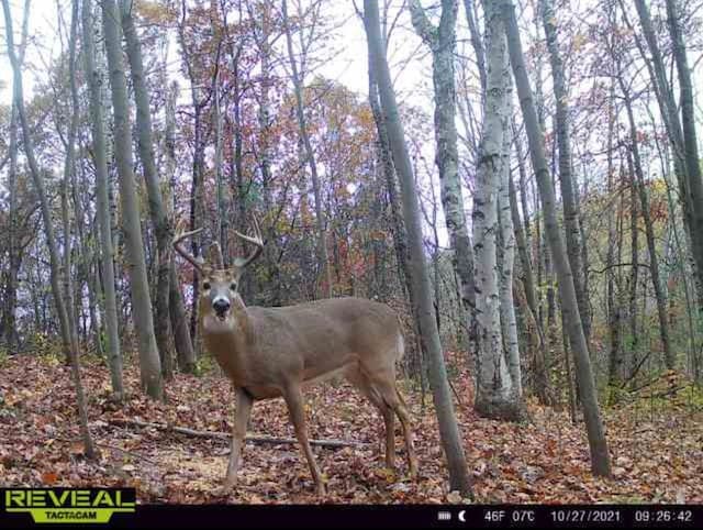0000 35th St, Howard Twp, WI 54729