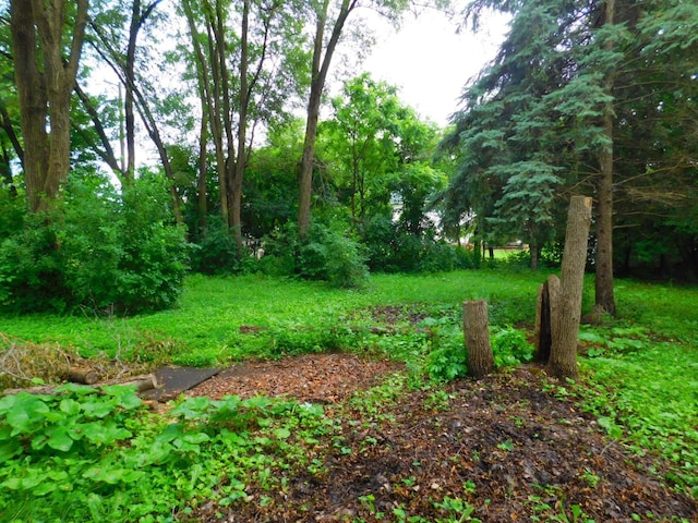 1033 3rd St, Saint Paul Park, MN 55071 - photo 5