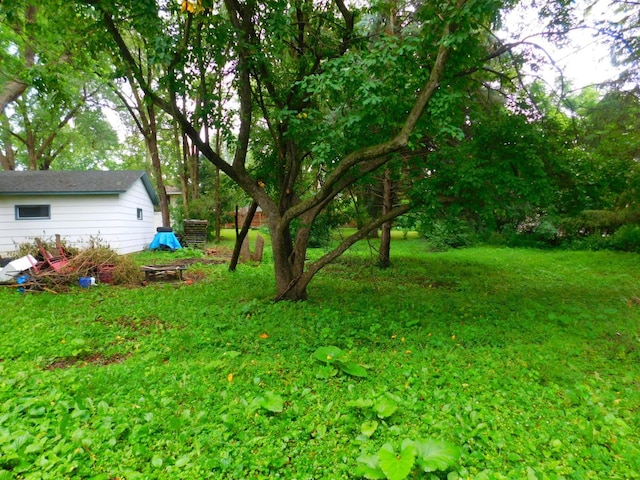 1033 3rd St, Saint Paul Park, MN 55071 - photo 8
