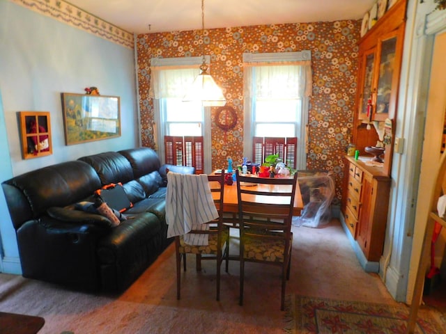 1033 3rd St, Saint Paul Park, MN 55071 - photo 16