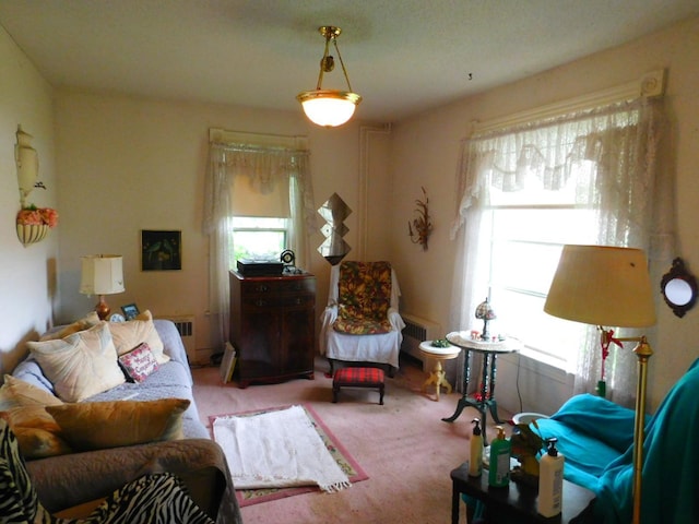 1033 3rd St, Saint Paul Park, MN 55071 - photo 18