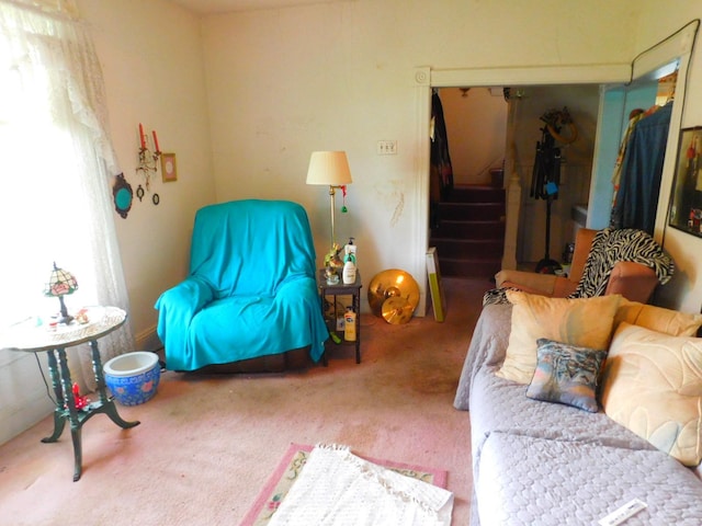 1033 3rd St, Saint Paul Park, MN 55071 - photo 19