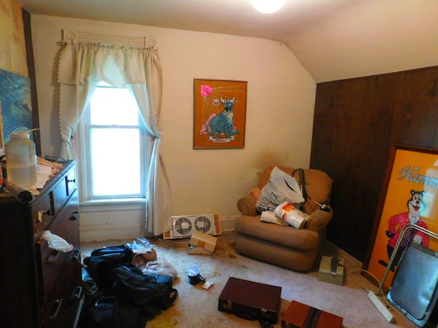 1033 3rd St, Saint Paul Park, MN 55071 - photo 24