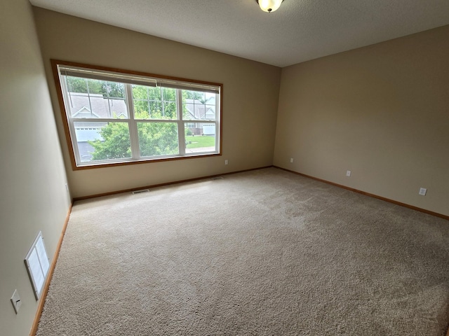 703 10th St S, Buffalo, MN 55313 - unfurnished room featuring healthy amount of natural light, carpet flooring, and a textured ceiling