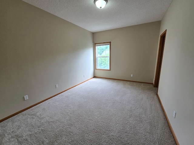 703 10th St S, Buffalo, MN 55313 - empty room with light carpet and a textured ceiling