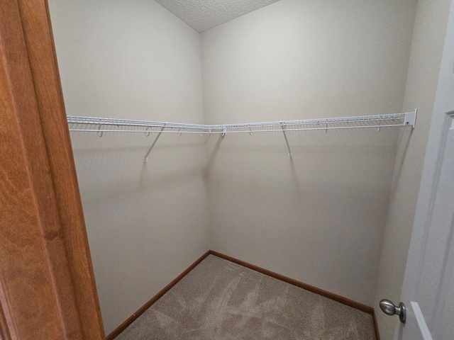 703 10th St S, Buffalo, MN 55313 - walk in closet featuring carpet flooring
