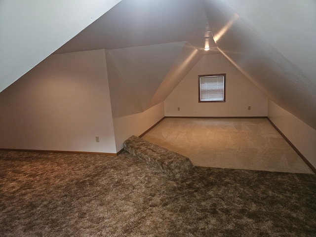 442 Cleveland Ave W, Winnebago, MN 56098 - bonus room featuring carpet floors and vaulted ceiling