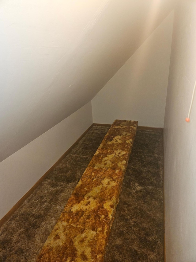 442 Cleveland Ave W, Winnebago, MN 56098 - detailed view of carpet flooring