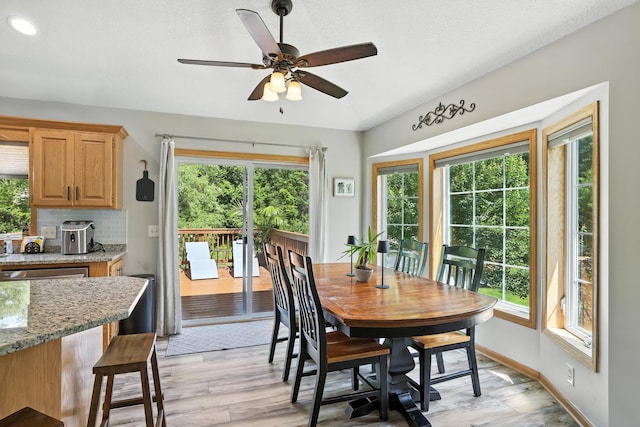 22615 Janero Ave N, Forest Lake, MN 55025 - dining area with plenty of natural light, ceiling fan, and light wood finished floors