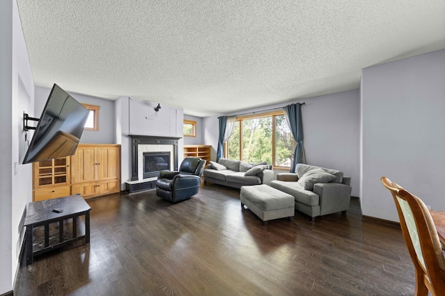 4802 102nd Trl N, Brooklyn Park, MN 55443 - living room with a textured ceiling, healthy amount of natural light, a glass covered fireplace, and dark wood-type flooring