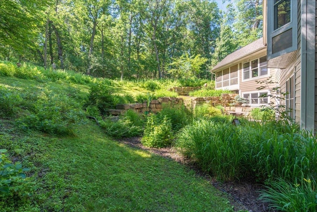 483 Meadow Ridge Ln, Troy Twp, WI 54016 - view of yard