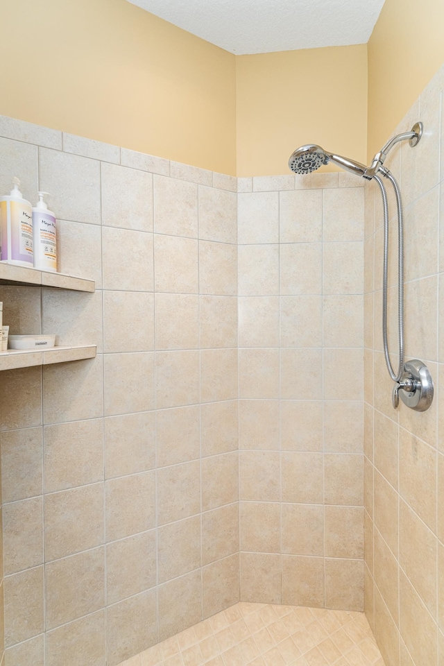 3262 Jade Ct NE, Rochester, MN 55906 - bathroom with a tile shower