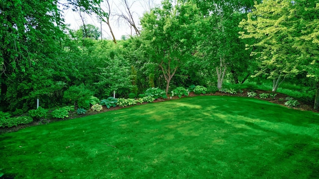 19319 380th St, Erhards Grove Twp, MN 56534 - view of green lawn