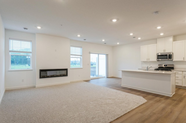10507 Harbor Ln N, Maple Grove, MN 55369 - photo 4