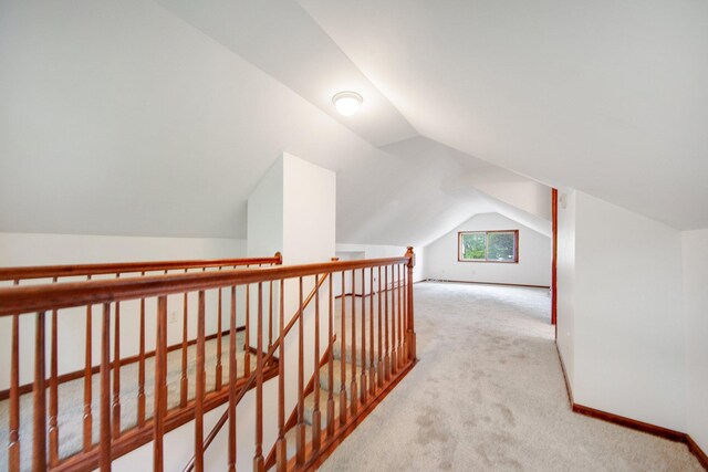 1196 Minnehaha Ave E, Saint Paul, MN 55106 - bonus room with vaulted ceiling and carpet floors