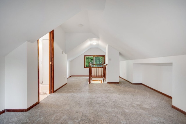 1196 Minnehaha Ave E, Saint Paul, MN 55106 - bonus room with carpet flooring and vaulted ceiling