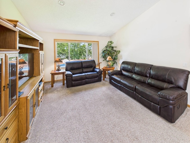 103 Foxmore Way, Saint Joseph, MN 56374 - photo 14