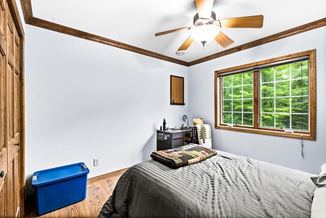 4722 Whitetail Dr, Superior, WI 54880 - photo 45