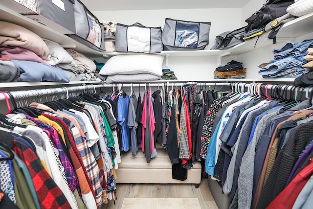 2060 Rosewood Ln SE, Alexandria, MN 56308 - spacious closet with wood finished floors