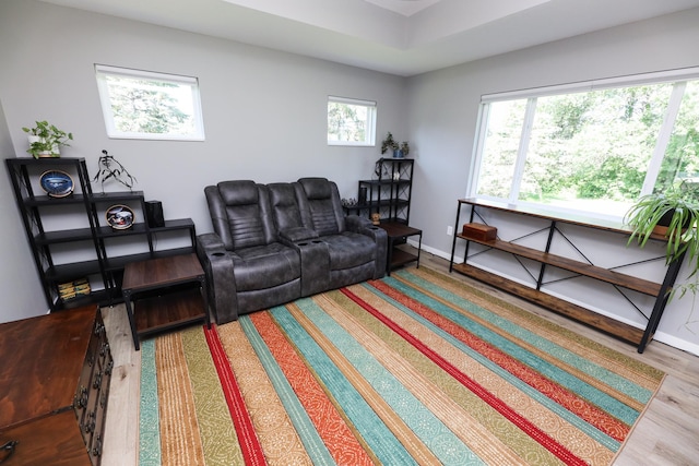 2060 Rosewood Ln SE, Alexandria, MN 56308 - living area featuring wood finished floors and baseboards