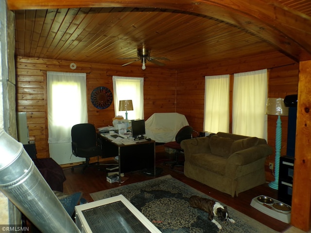 45248 State Highway 48, Clover Twp, MN 55037 - living room featuring wooden ceiling, wood finished floors, and a ceiling fan
