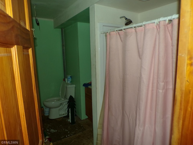 45248 State Highway 48, Clover Twp, MN 55037 - bathroom with toilet and a shower with shower curtain