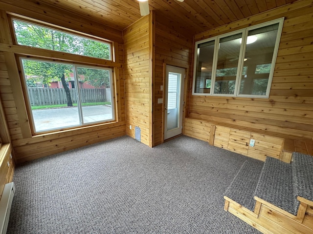 1702 15th St SW, Willmar, MN 56201 - unfurnished sunroom with a baseboard radiator