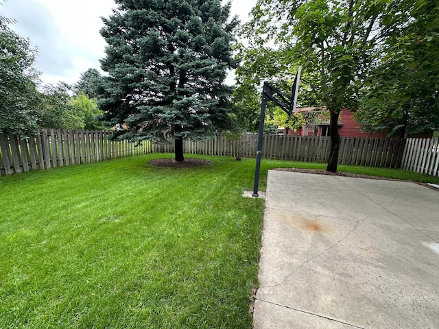 1702 15th St SW, Willmar, MN 56201 - fenced backyard featuring a patio