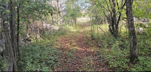xx County Road 8, Saint Cloud, MN 56304 - photo 20