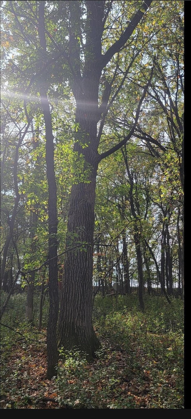 xx County Road 8, Saint Cloud, MN 56304 - photo 22