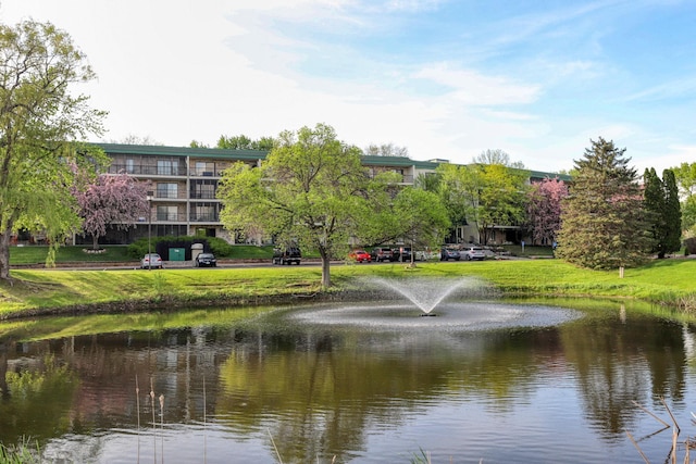 10501 Cedar Lake Rd Unit 217, Minnetonka, MN 55305 - water view