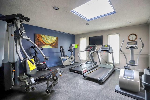 10501 Cedar Lake Rd Unit 217, Minnetonka, MN 55305 - workout area featuring a textured ceiling, ornamental molding, and a skylight
