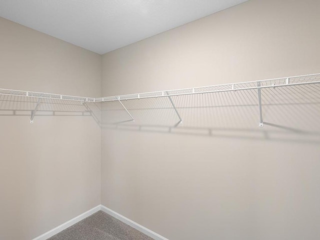 3212 Kady Ave NE, Saint Michael, MN 55376 - walk in closet with carpet