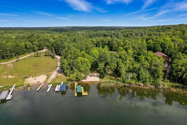 2913 125th St, Island Lake Twp, MN 56651 - bird's eye view of a heavily wooded area and a nearby body of water