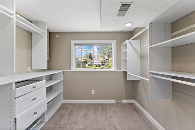 8473 Kentucky Ct N, Brooklyn Park, MN 55445 - spacious closet featuring light colored carpet