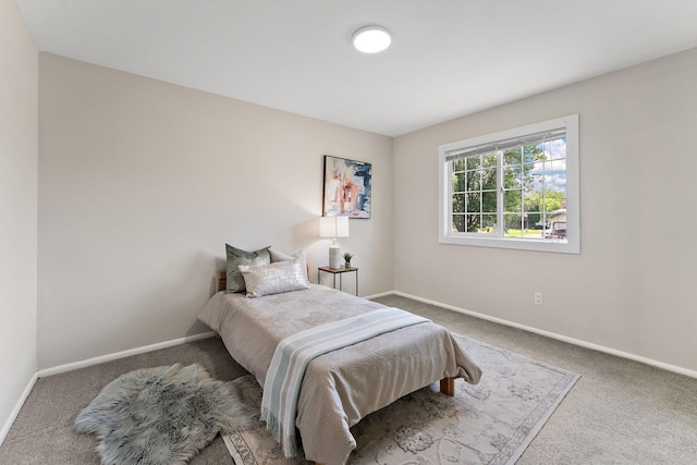 8473 Kentucky Ct N, Brooklyn Park, MN 55445 - bedroom featuring carpet floors and baseboards