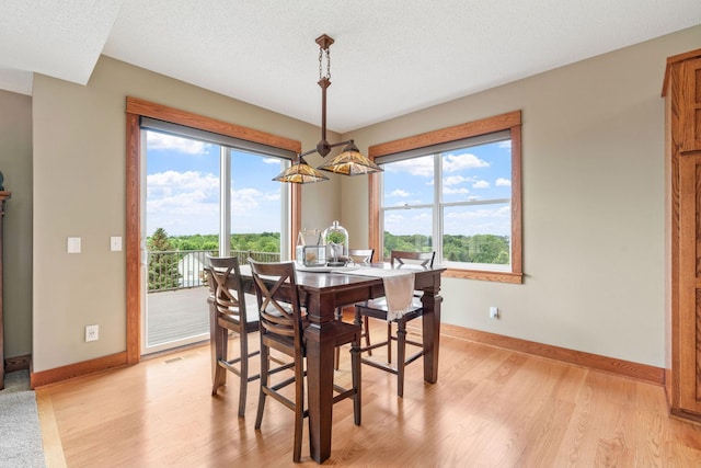 19602 Galway Cir, Prior Lake, MN 55372 - photo 13