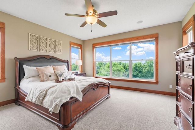 19602 Galway Cir, Prior Lake, MN 55372 - photo 19