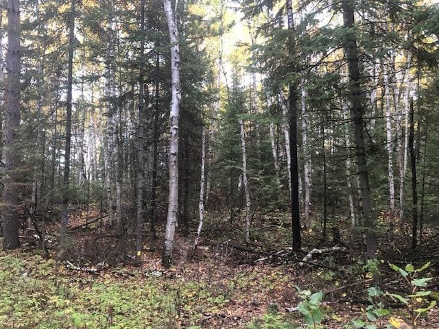 TBD Highway 5, Morcom Twp, MN 55723