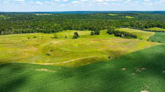 15055 Paul Ave N, May Twp, MN 55047 - photo 1