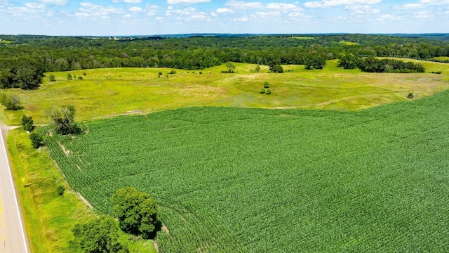 15055 Paul Ave N, May Twp, MN 55047 - photo 28