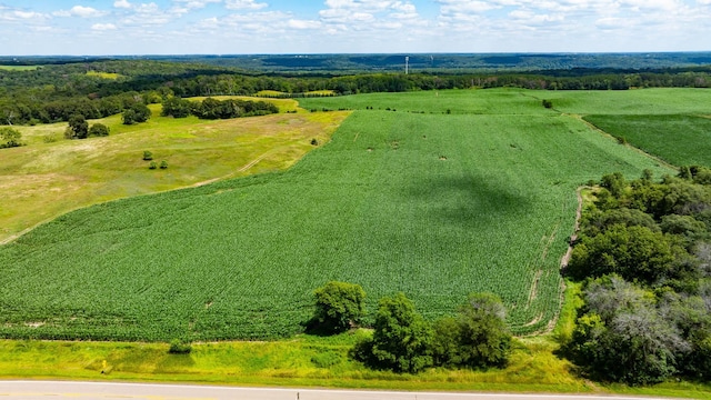 15055 Paul Ave N, May Twp, MN 55047 - photo 30