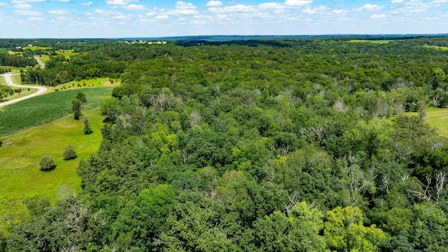 15055 Paul Ave N, May Twp, MN 55047 - photo 33