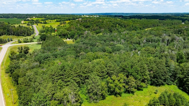 15055 Paul Ave N, May Twp, MN 55047 - photo 34