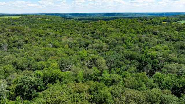 15055 Paul Ave N, May Twp, MN 55047 - photo 38