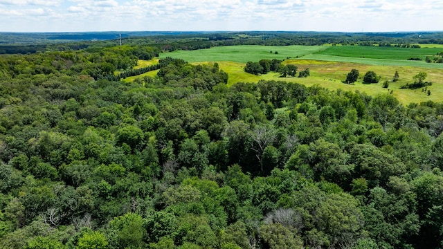 15055 Paul Ave N, May Twp, MN 55047 - photo 41