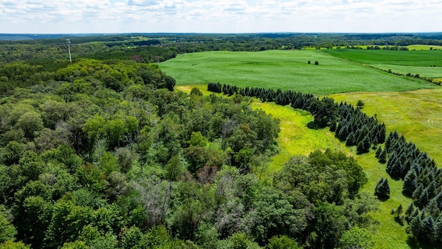15055 Paul Ave N, May Twp, MN 55047 - photo 48